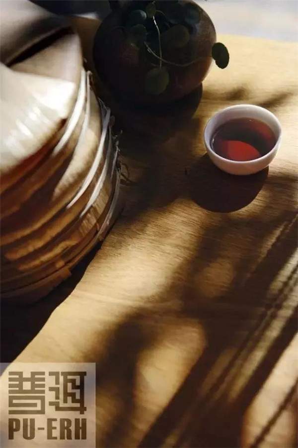 为什么普洱茶需要陈化？普洱茶的工艺要求“后发酵”