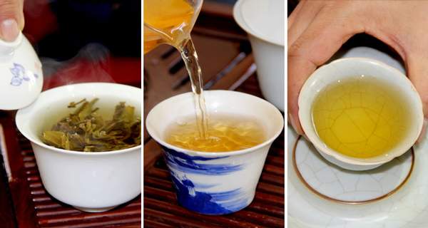 普洱茶要不要洗茶（醒茶）？茶叶是不是越鲜越好？