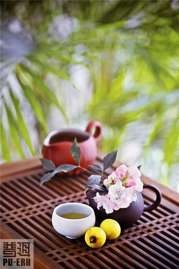 生茶&熟茶里的东方哲学