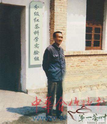 唐庆阳：佛海茶厂的修复者、勐海茶厂的竖牌人（一）